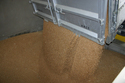 ８．麦乾燥調製工場での受入作業（７月下旬～８月上旬）